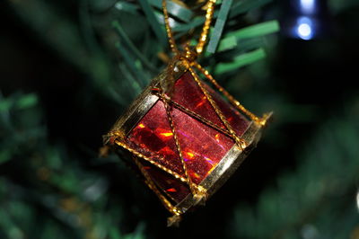 Close-up of christmas decoration on tree