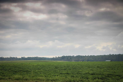 Scenic view of grassy field against cloudy sky