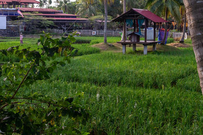 Built structure on field against trees