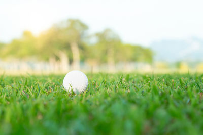 Close-up of ball on field