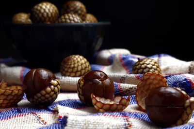 Close-up of shells on table