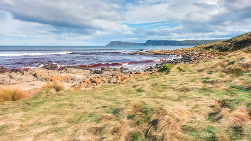 Scenic view of sea against sky