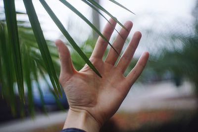 Close-up of human hand against sky