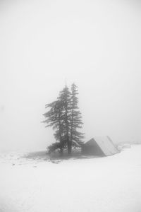 Tree on snow covered field against sky