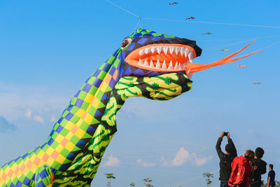 Rear view of people against kites flying in sky