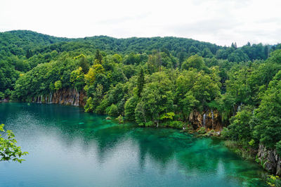 Scenic view of lake by trees against sky
