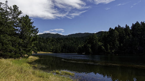 Scenic view of lake by trees in forest against sky