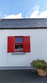 Red potted plant on window of building