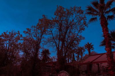 Low angle view of trees and building against blue sky