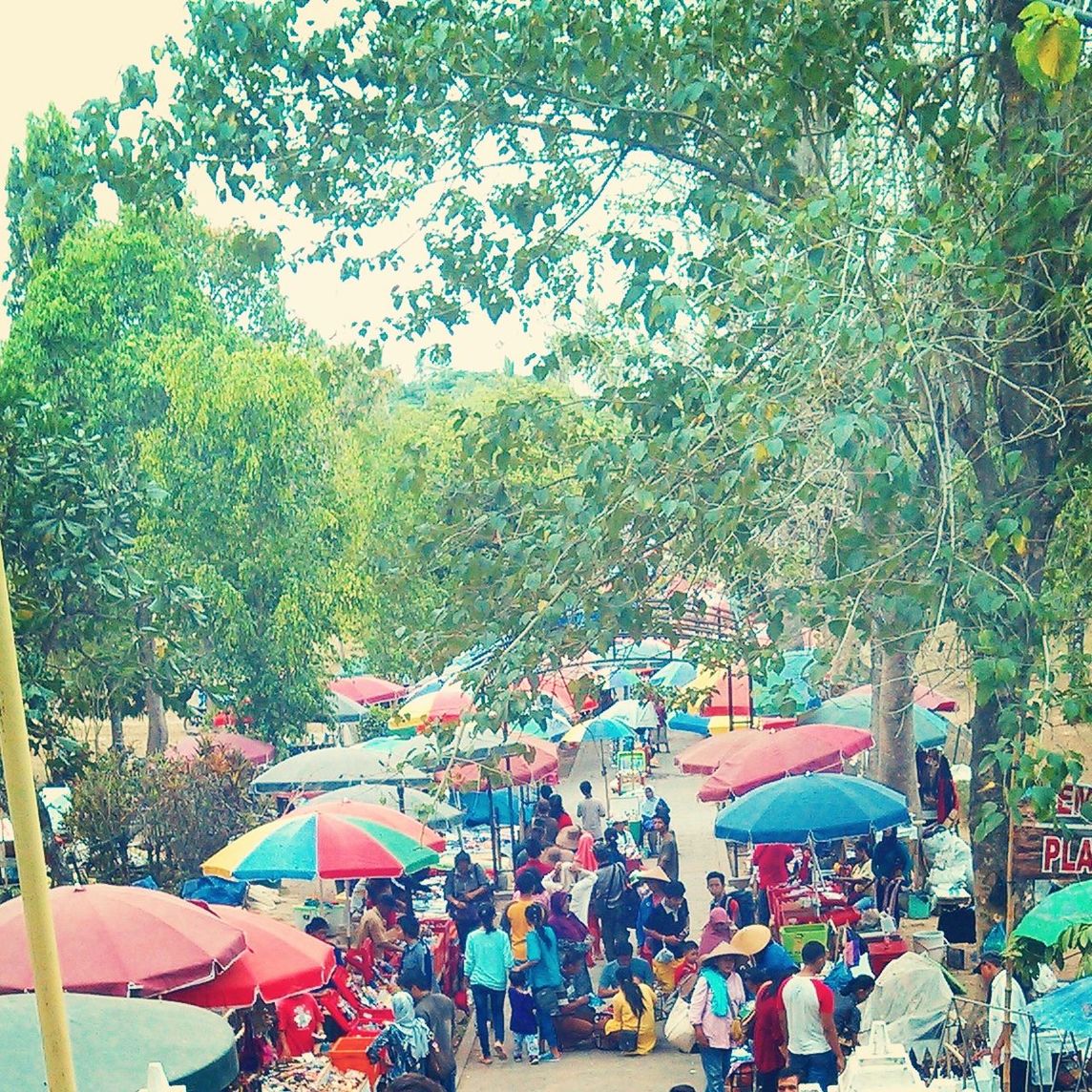 tree, large group of people, lifestyles, men, leisure activity, person, transportation, mixed age range, mode of transport, crowd, outdoors, growth, street, enjoyment, day, land vehicle, sky, sitting, incidental people