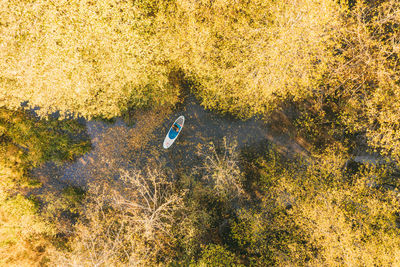 High angle view of man .handsome guy on sap among yellow foliage