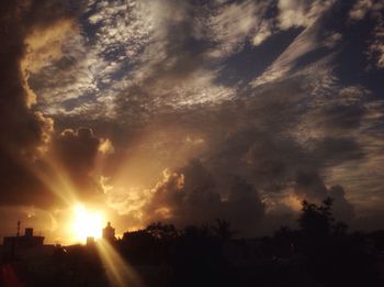 Silhouette trees against sky during sunset