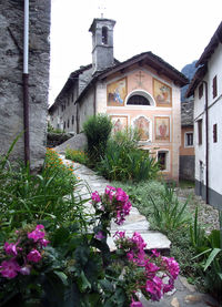 Plants growing in lawn of building