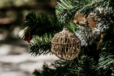 Close-up of christmas tree