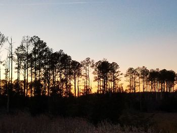 Silhouette trees in forest against clear sky