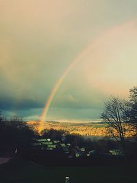 Rainbow over trees