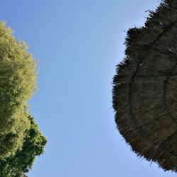 Low angle view of trees against clear blue sky