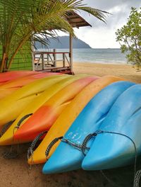 Close-up of palm tree by swimming pool