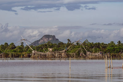 Scenic view of palm trees by sea against sky