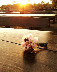 Close-up of flowers on table