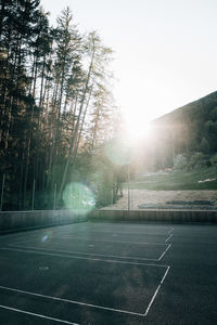 Empty road amidst trees against sky