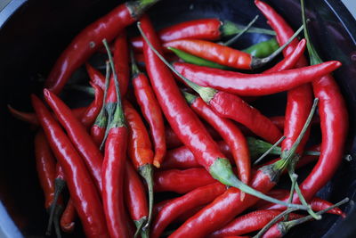 Close-up of red chili peppers