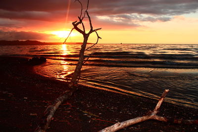 Scenic view of sea at sunset