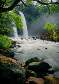 Scenic view of waterfall in forest