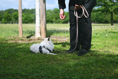 Low section of man with dog on field