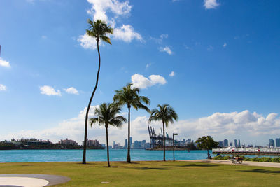 Palm trees growing by river against sky