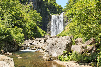 Scenic view of waterfall in forest