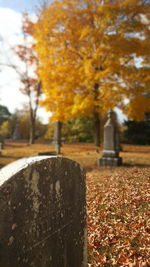 View of graveyard in autumn