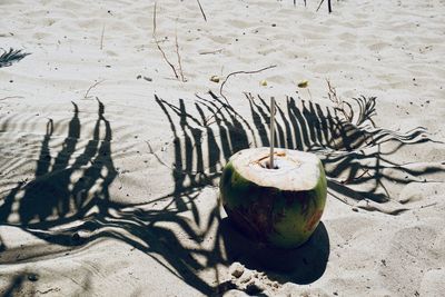 Coconut with drinking straw on sand at beach during summer