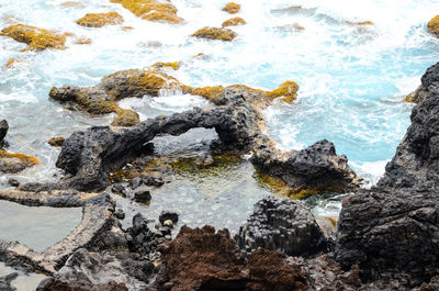 High angle view of rocks on shore