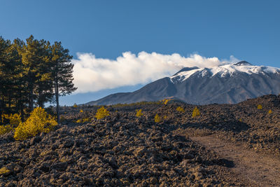 mountain