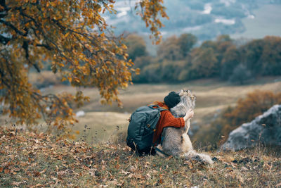 Dog on field during autumn