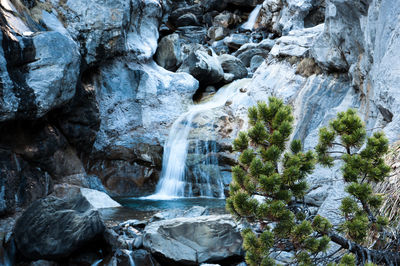 Waterfall in a forest