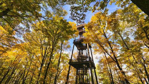 Low angle view of tower against sky during autumn