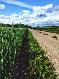 Dirt road by crops at farm against sky