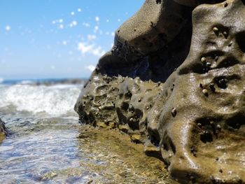 Close-up of sea shore against sky