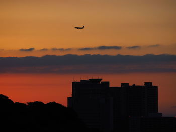 Silhouette bird flying against orange sky