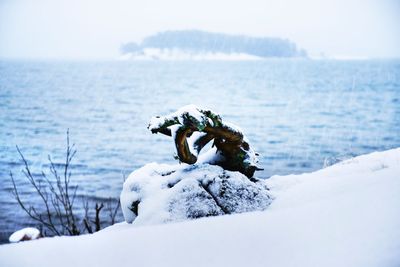 Close-up of snow on sea shore during winter