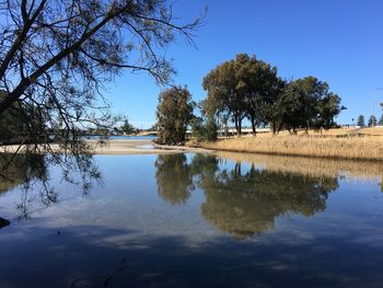 Reflection of trees in lake against clear sky