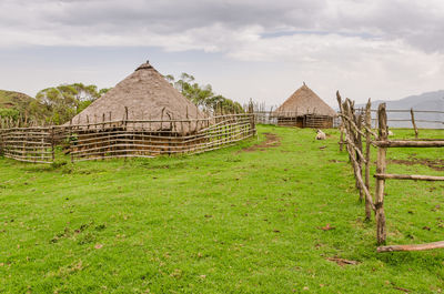 Traditional thatched mud huts on field against sky, cameroon, africa
