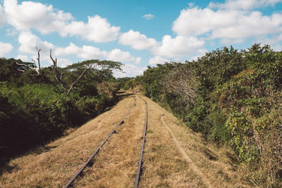 Dirt road along trees and plants against sky