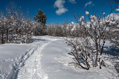 snow