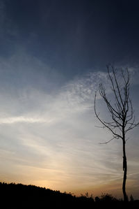 Silhouette bare tree against sky at sunset