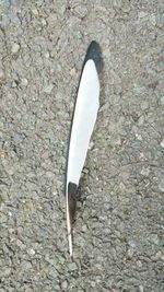 High angle view of sand