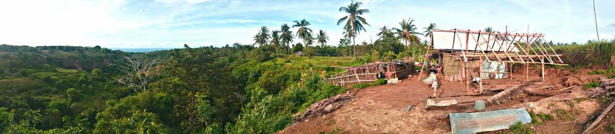 Panoramic view of trees against sky