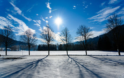 Bare trees on snow covered field against sky